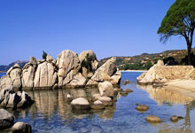 Maxwell House's 'Maxwell Apartment' Rebrand: What Happened vs. What the Data Shows