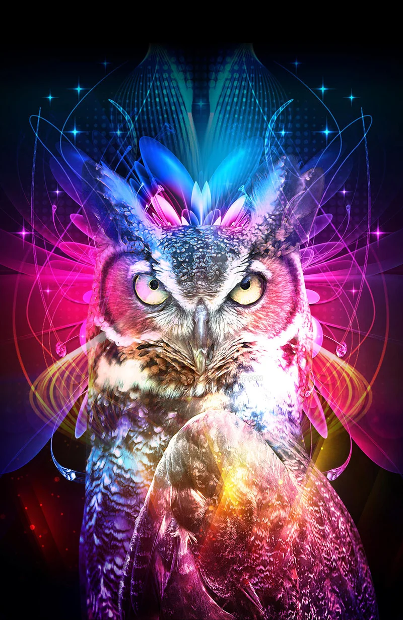 Blue Owl's Fund Merger Collapses: What Happened and Why?