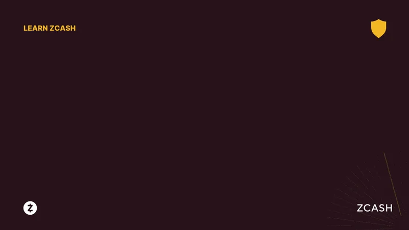 Zcash Rising, Bitcoin Falling: What's Driving the ZEC Price Surge? – What Reddit is Saying